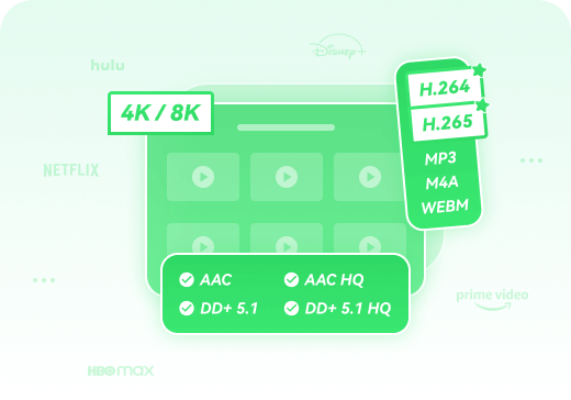 keep excellent video and audio quality