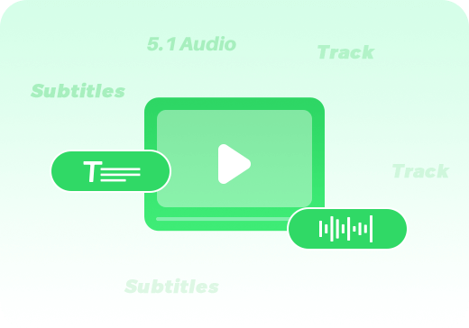 Keep Multilingual Audio Tracks and Subtitles