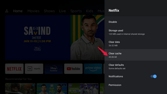 clear netflix cache on tv