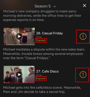 expired netflix videos