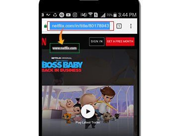 netflix browser