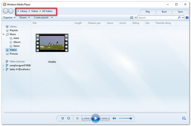 netflix to windows media player