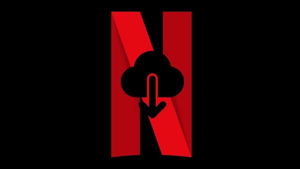 top 4 netflix video downloaders