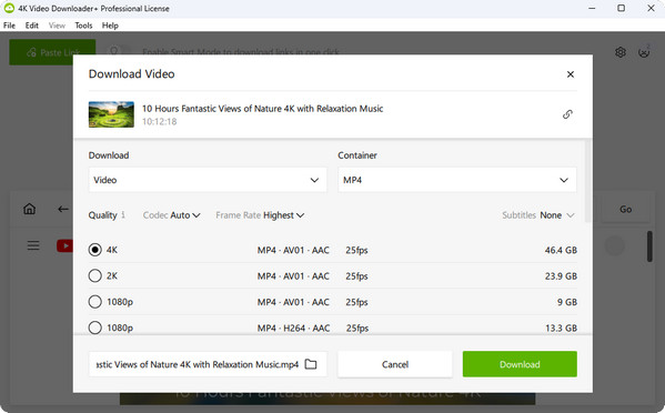 4k video downloader plus