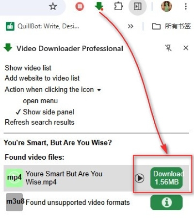 Download Rumble Videos with a Browser Extension
