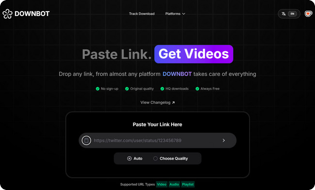 DownBot online Dailymotion video downloader