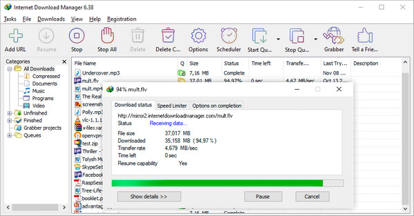 internet download manager