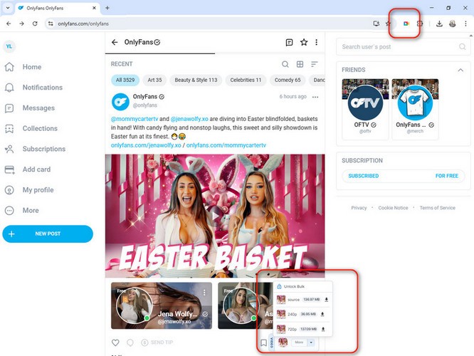 Streamfork OnlyFans Downloader